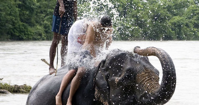 Elephant bathing in Narayani river in Chitwan.