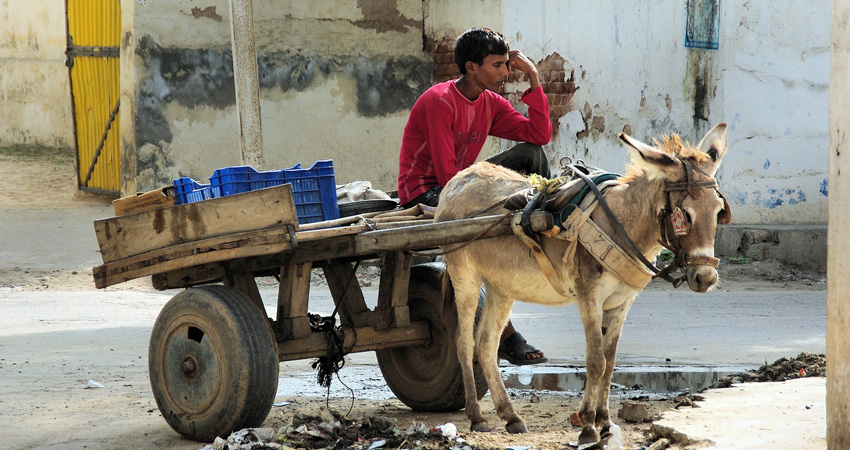 Tanga Riding in India